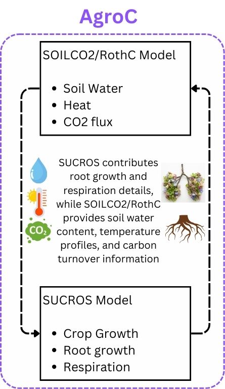 Components of AgroC Model